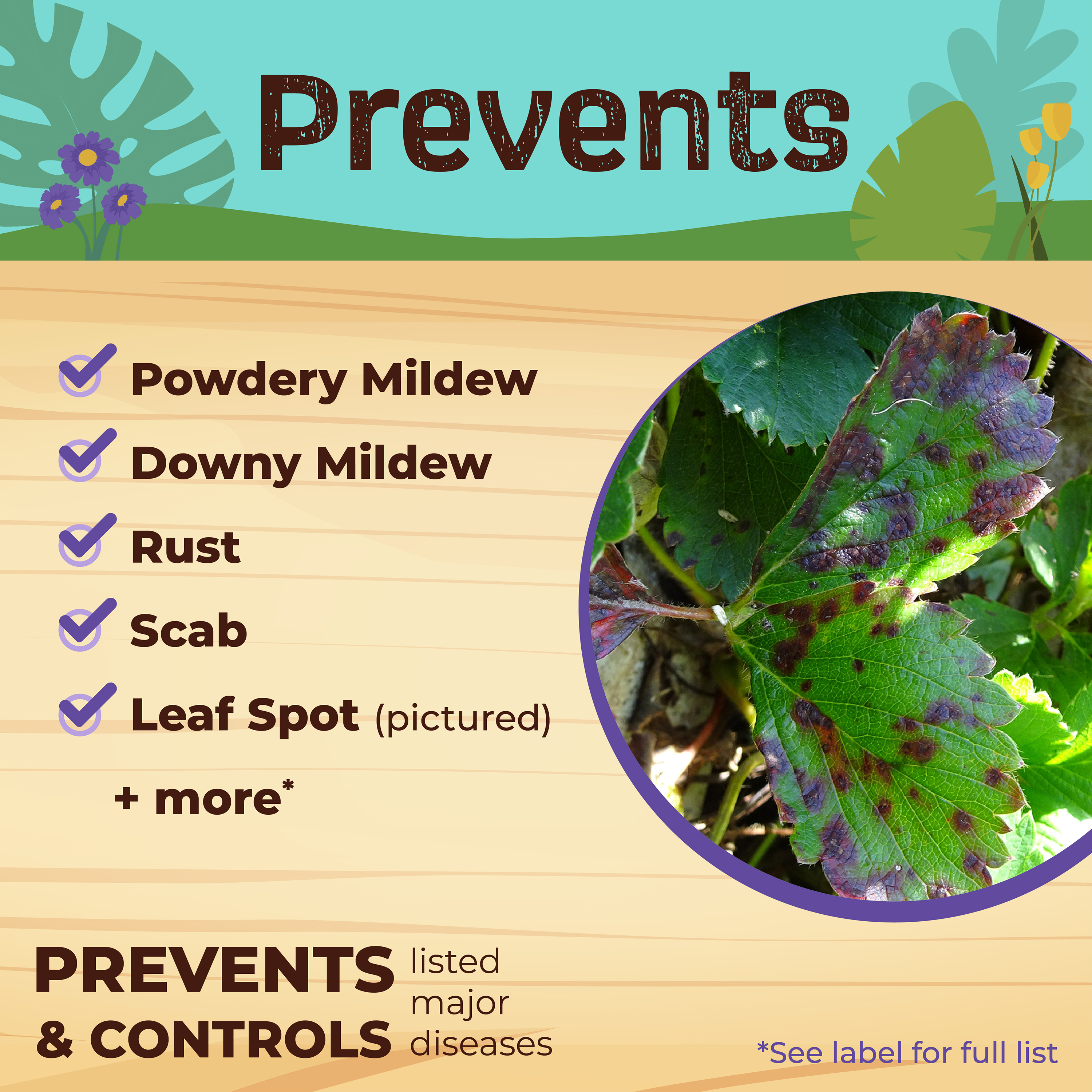Captain Jack's Neem Oil Ready-to-Use