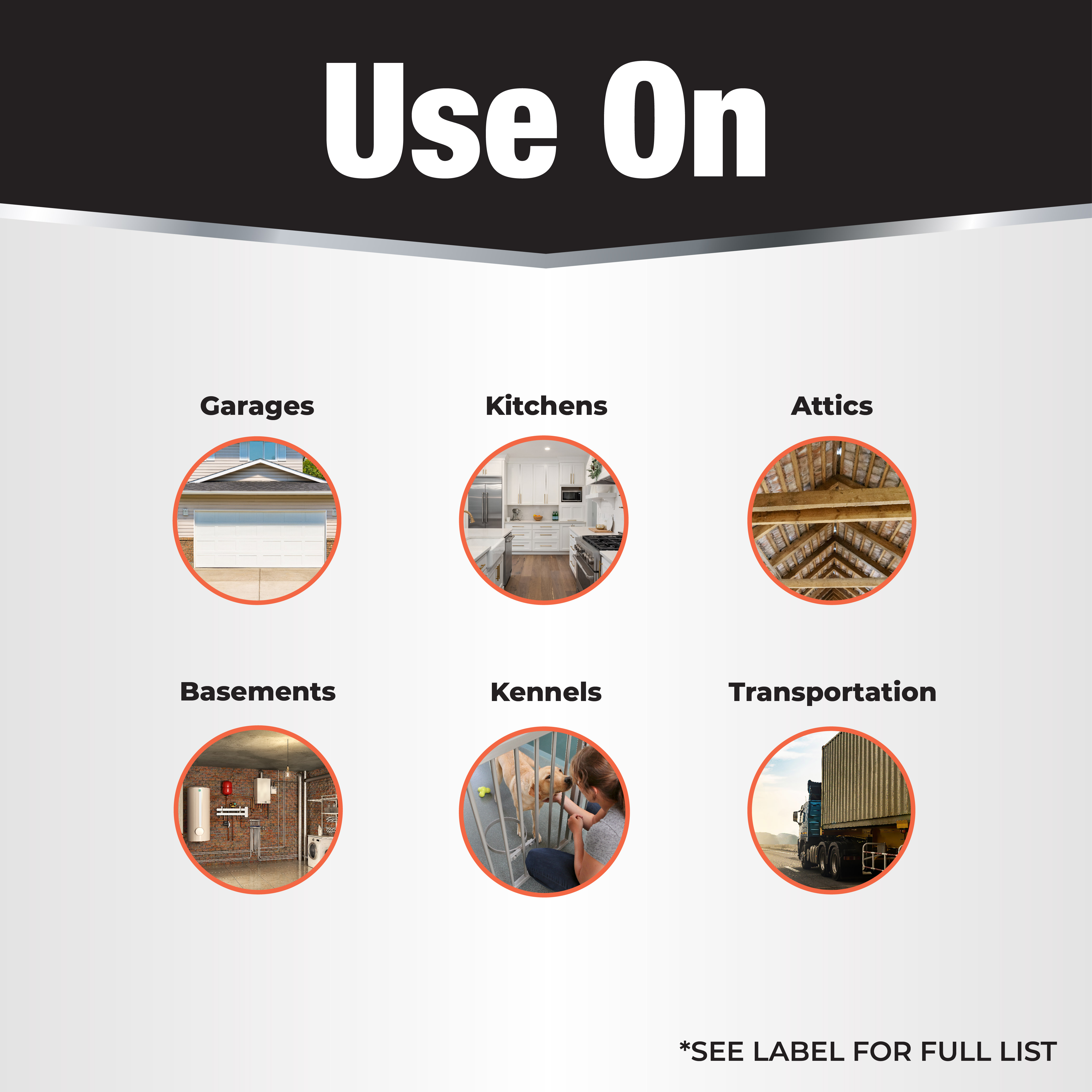 Dual-Action Bedbug & Insect  Room Fogger