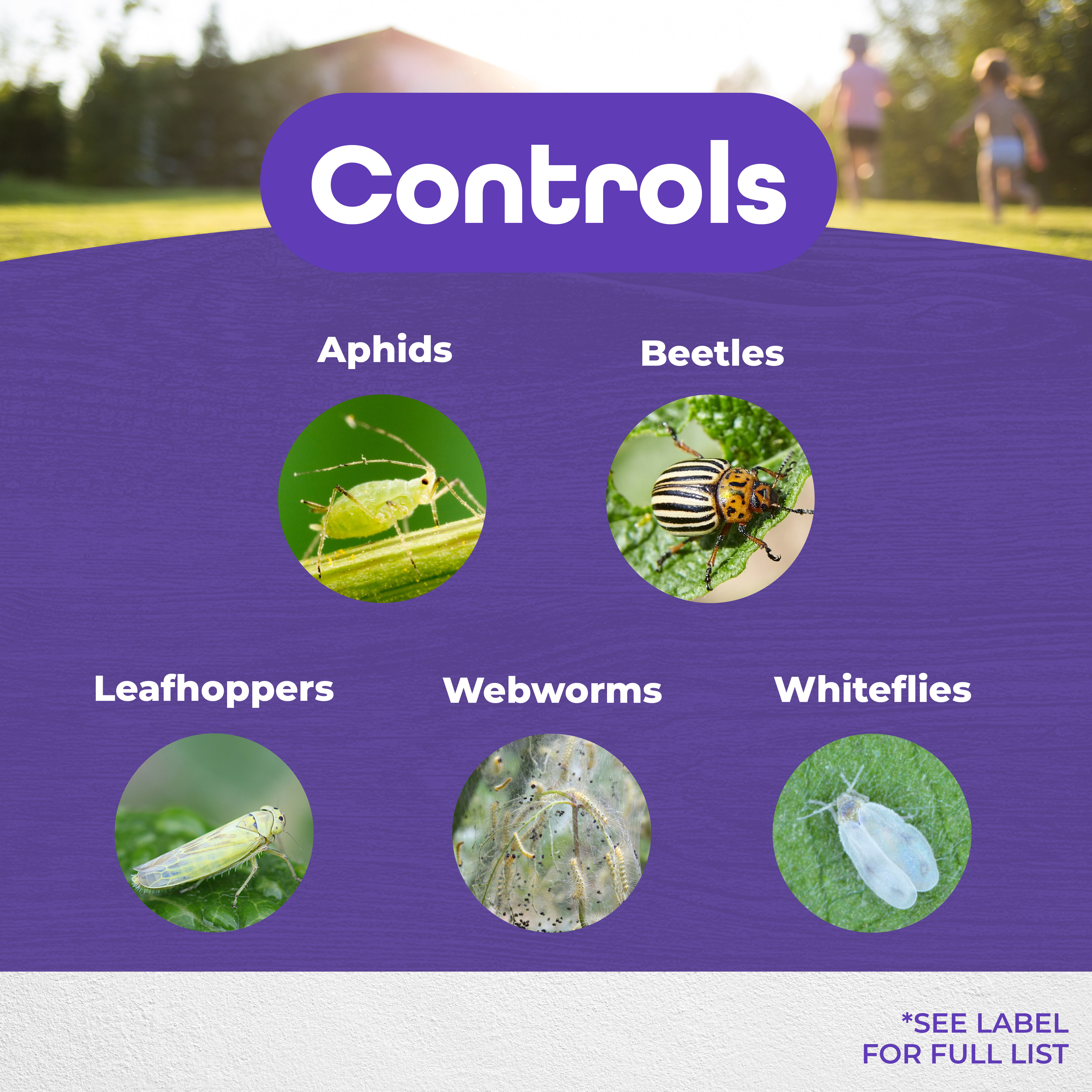 Pyrethrin Garden Spray Concentrate