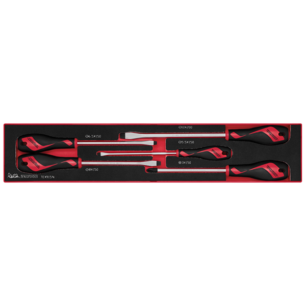 TENG 5PCE MD SCREWDRIVER SET - TEX-TRAY