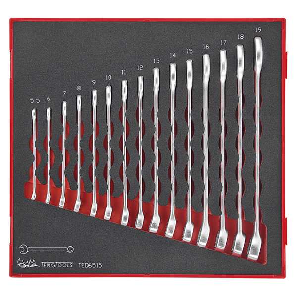 TENG 15PCE COMBINATION SPANNER SET 5.5-19MM - TED-TRAY