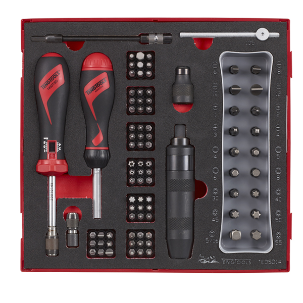 TENG 95PCE TORQUE SCREWDRIVER SET 1-5NM (EVA) - TED-TRAY