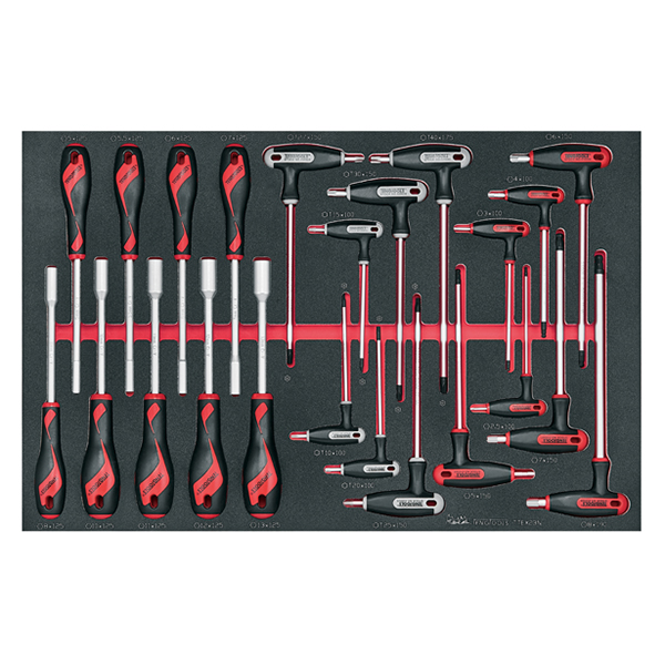 TENG 23PCE NUT & T-HANDLE DRIVER SET (EVA)