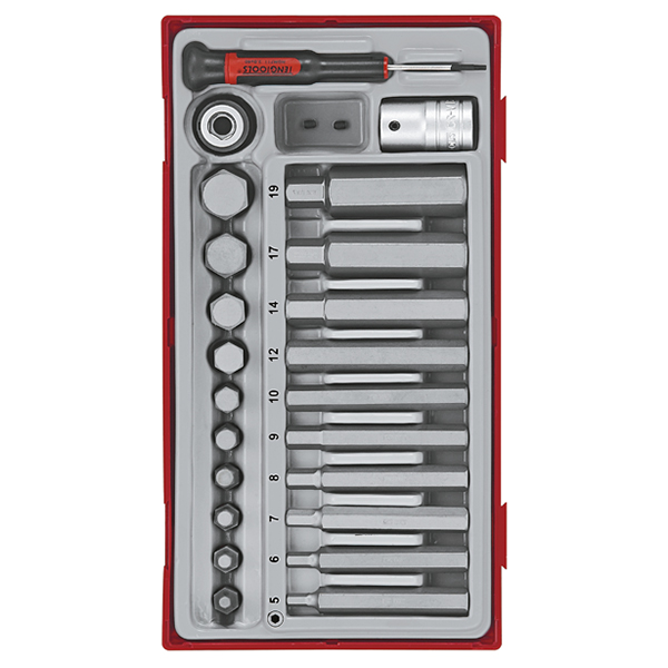 TENG 23PCE HEX BITS SET 5-19METRIC - TC-TRAY
