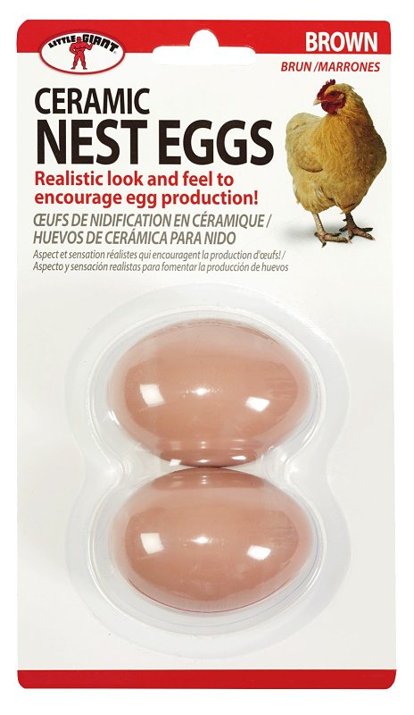 Little Giant CEGGBRN Nest Egg, Ceramic, Brown