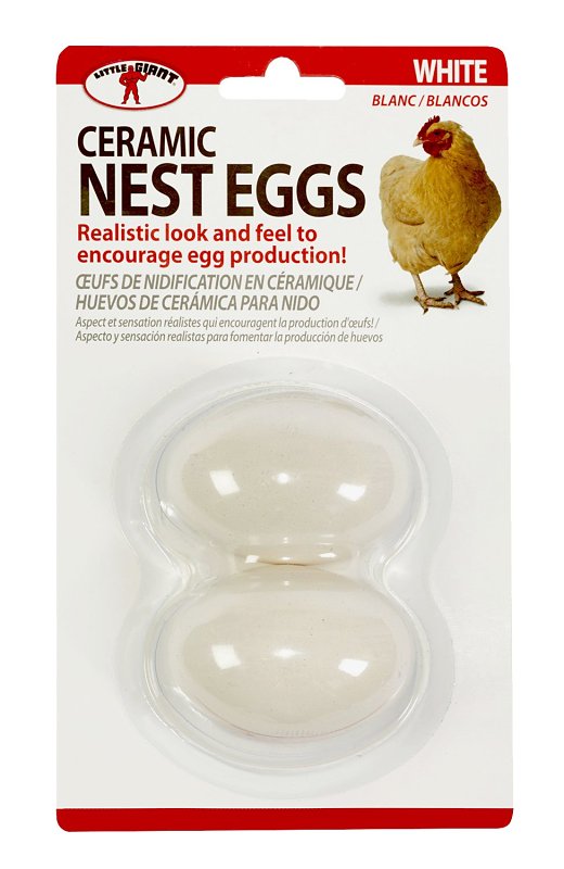 Little Giant CEGGWHT Nest Egg, Ceramic, White