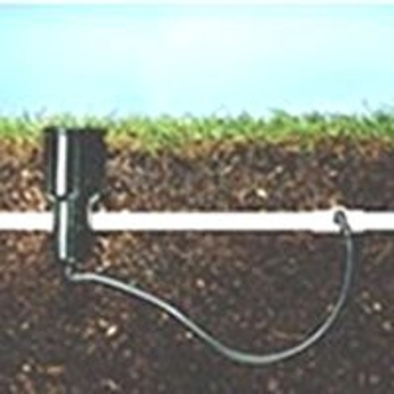 Rain Bird SWGP24INS/SWGP2 Swing Pipe, 2 ft L, Polyethylene