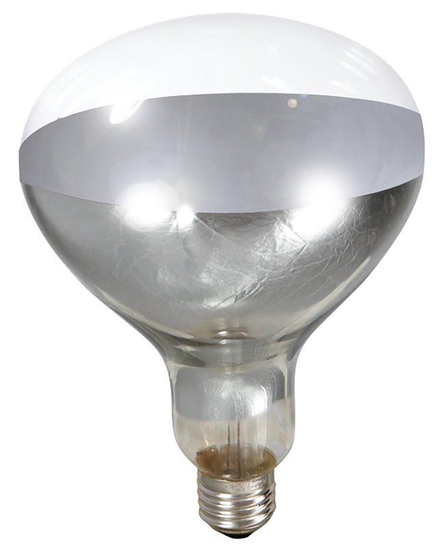 Little Giant 170031 Heat Lamp Bulb, 120 V, 250 W, Alloy