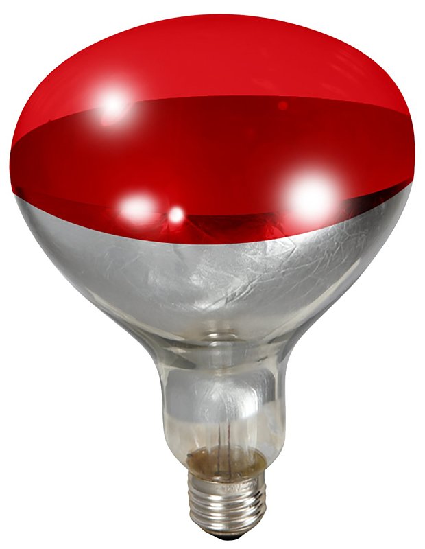 Little Giant 170024 Bulb, 120 V, 250 W, Alloy/Glass