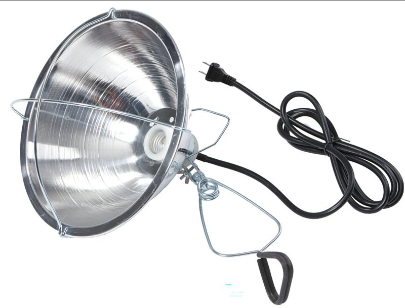 Little Giant 170017 Brooder Reflector Lamp, 300 W, Aluminum