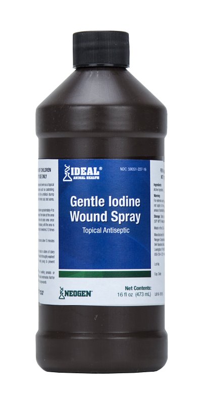 Ideal 79214 Gentle Iodine Wound, Liquid, Dark Brown, Pungent, Slightly Metallic, Sulfur, 16 oz