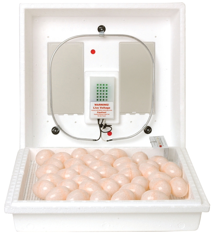 Little Giant 9300 Egg Incubator, 110 V, 41 Egg, 21 days Incubator Period, Styrofoam