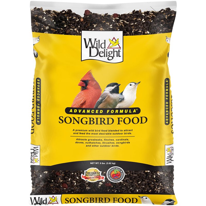 Wild Delight 377080 Dried Raisins Songbird Food, 8 lb Bag