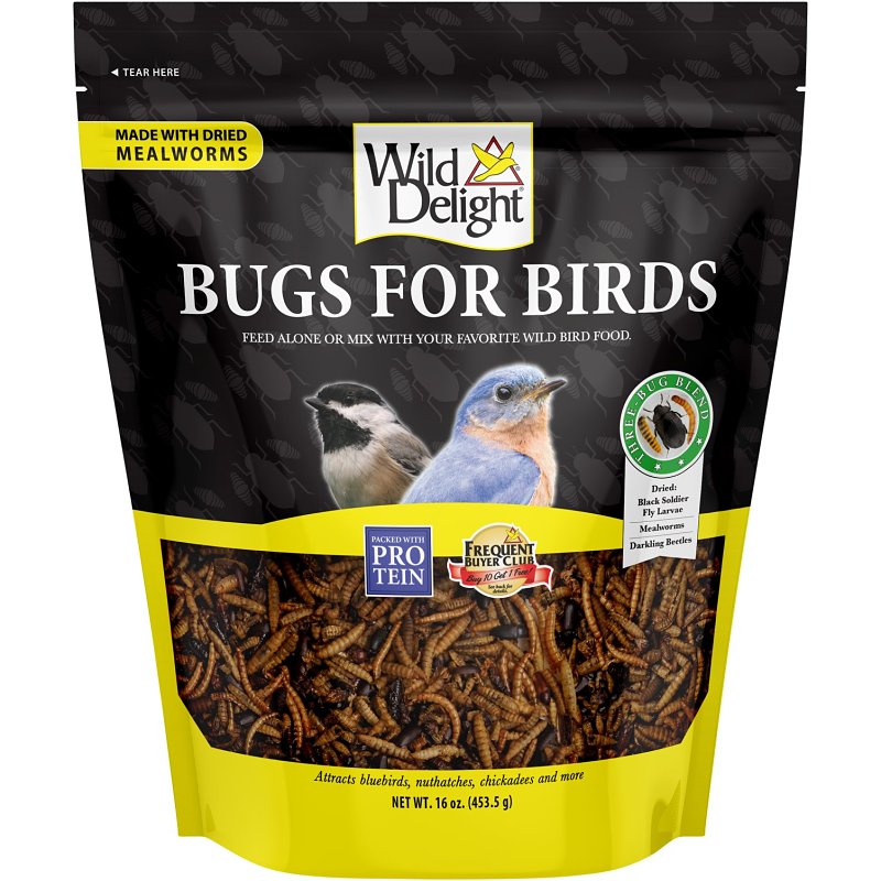 Wild Delight Bugs For Birds 367866 Dried Mealworms Wild Bird Food, 16 oz Pouch