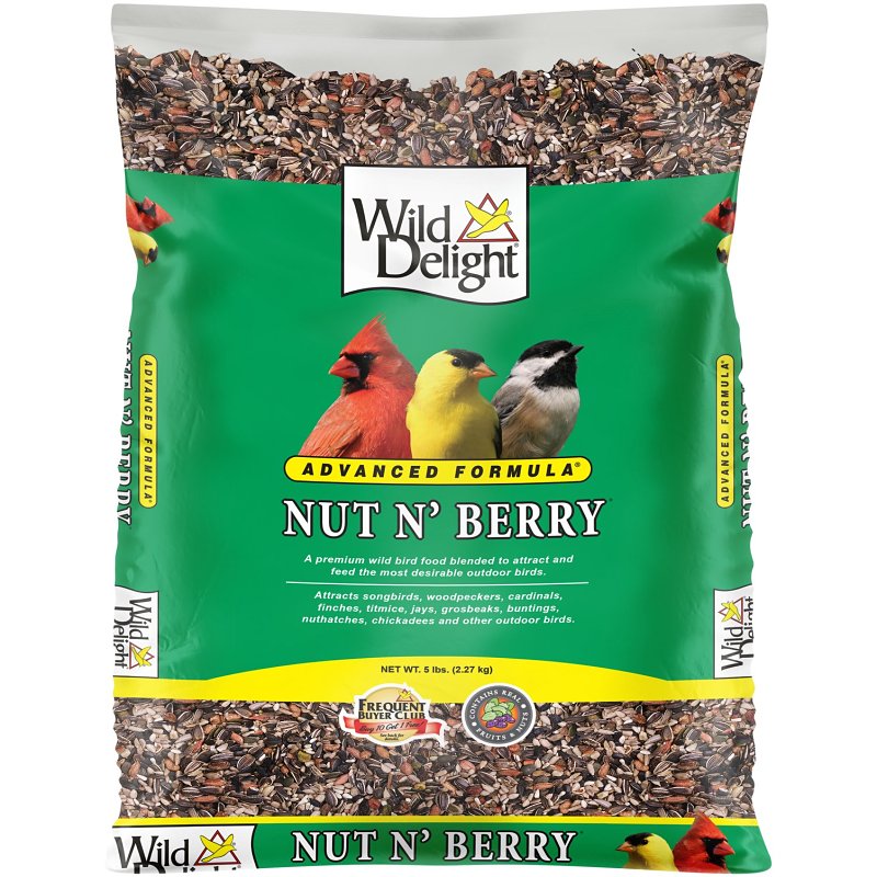 Wild Delight Nut Nâ Berry 366050 Dried Raisins Wild Bird Food, 5 lb, Blended, Bag