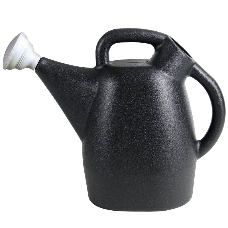 Chapin 47999 Watering Can, 2 gal Can, Non-Diverter Spout, Plastic, Black