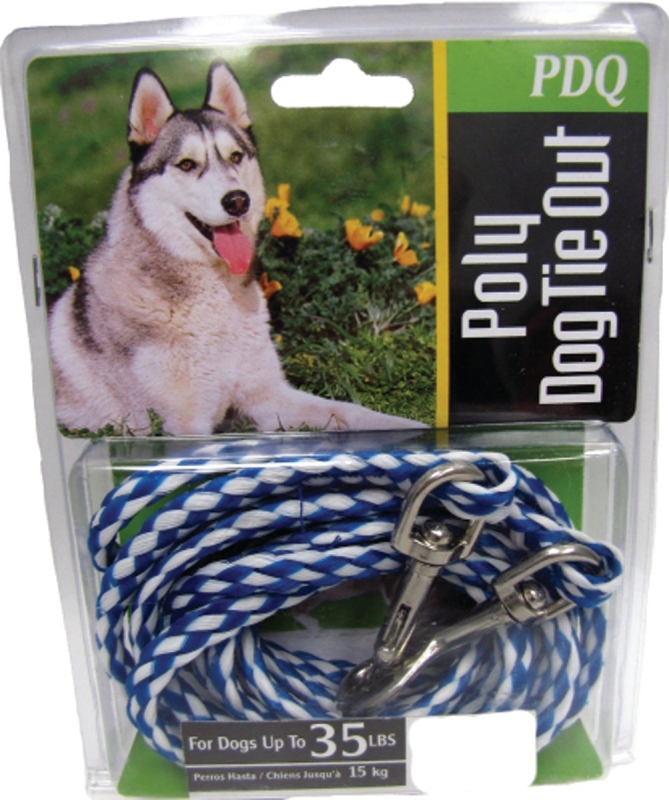 Sled dog tie out on sale