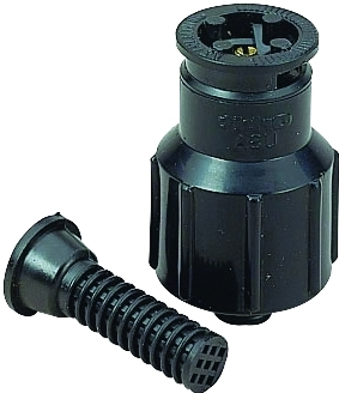 5360045_xrbmd9.jpg