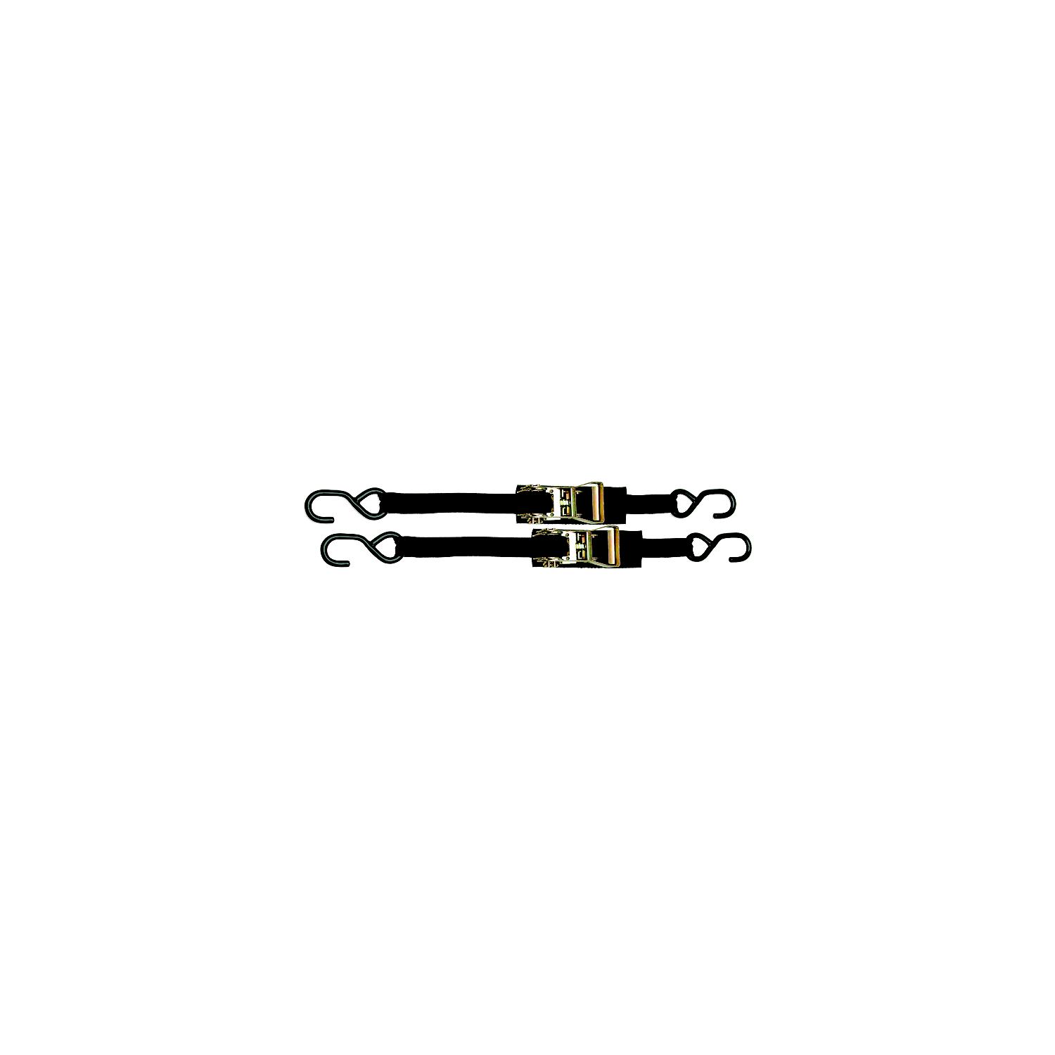 BoatBuckle Ratchet Transom/Utility Tie-Down 1â³ x 3.5' (2 Per Pack)