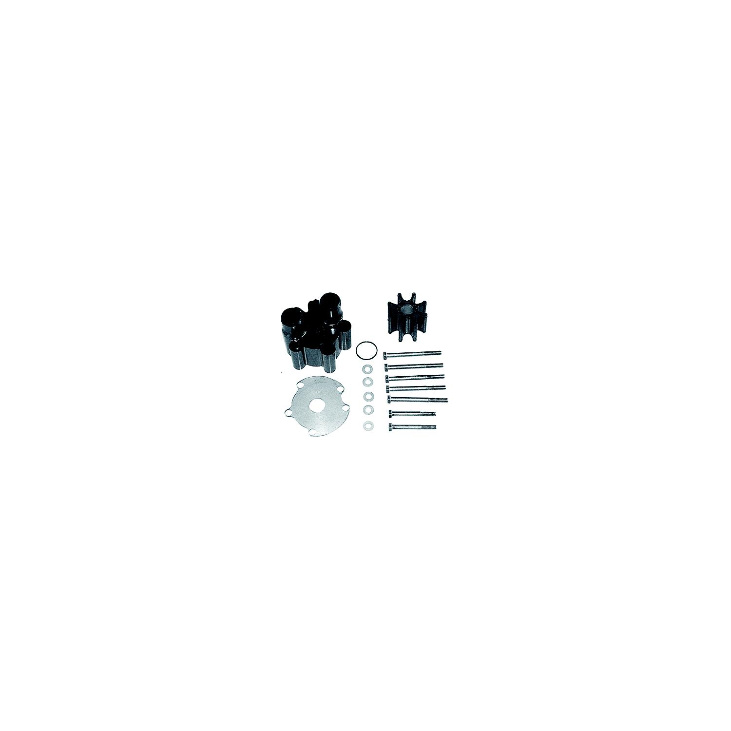 Body/Impeller Kit