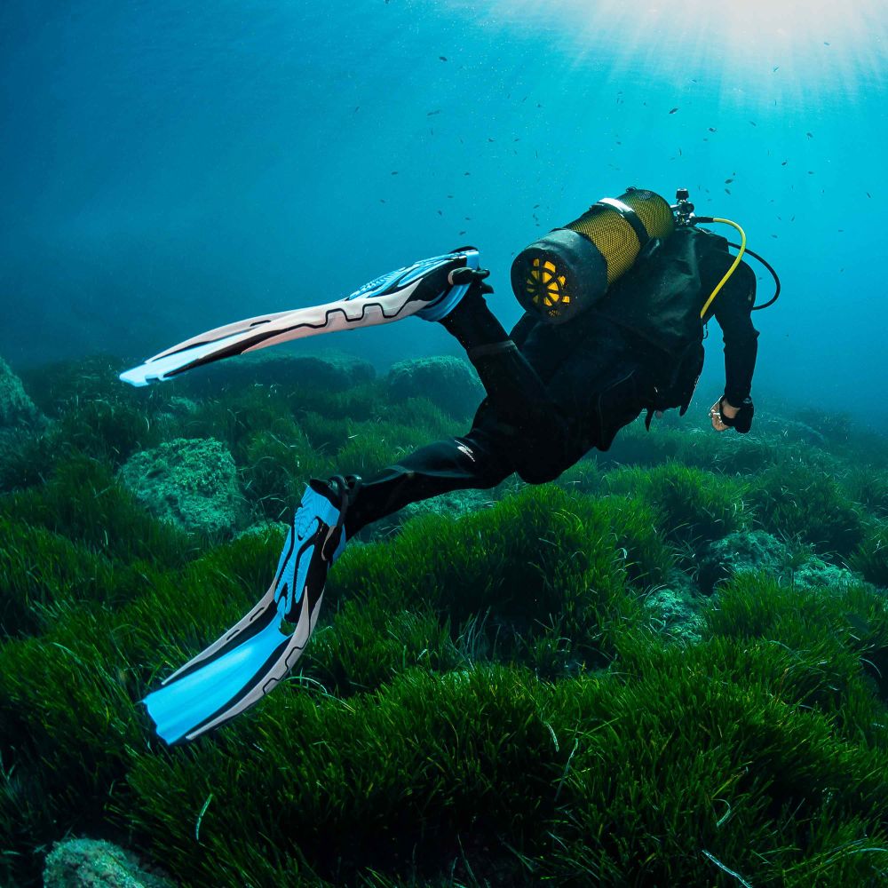What’s in the box - PHAZER - Dive Fins