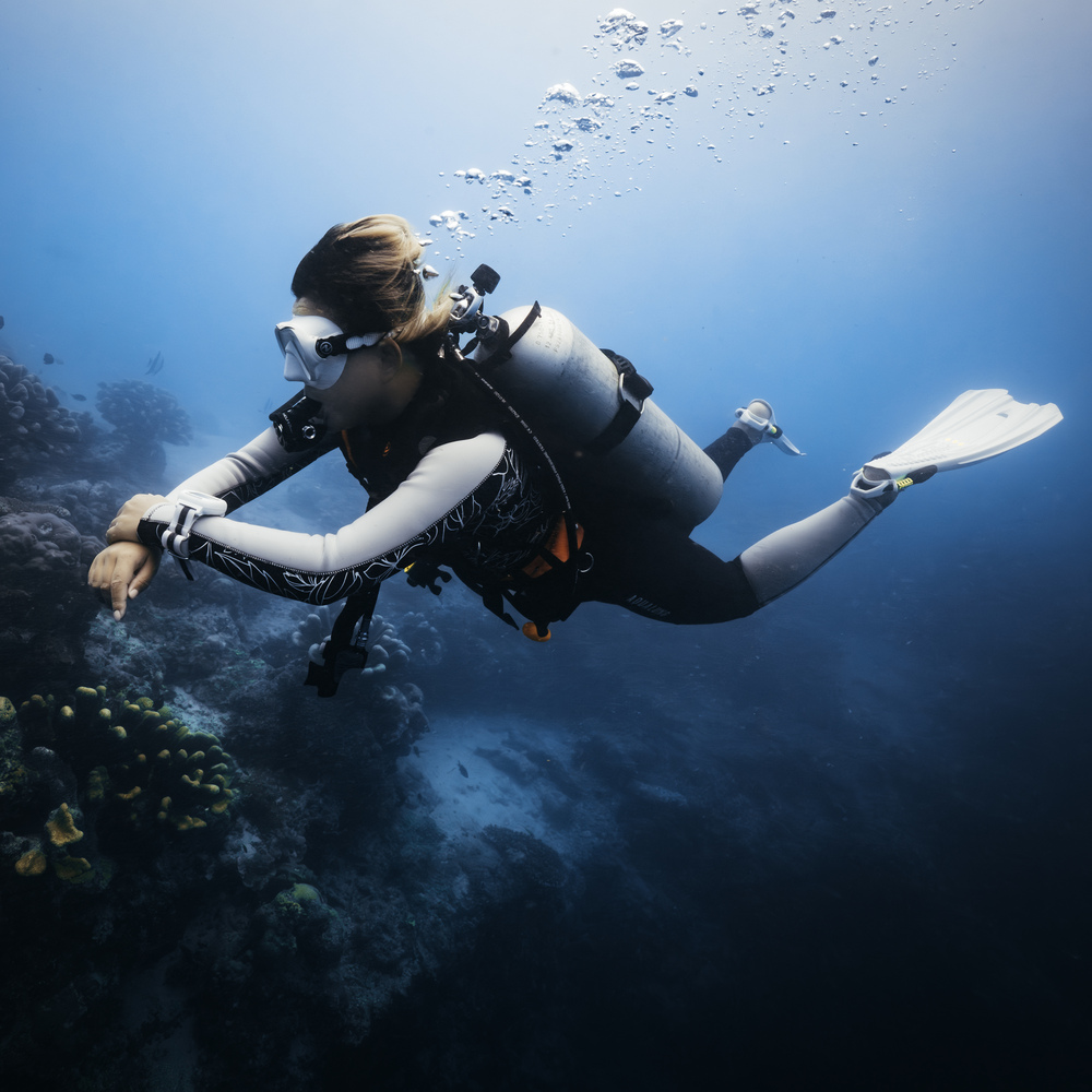 Product Details - FITFLEX - Women's Dive Wetsuit 2-piece 3mm