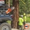 Razorback Offroad UTV Chainsaw Mount