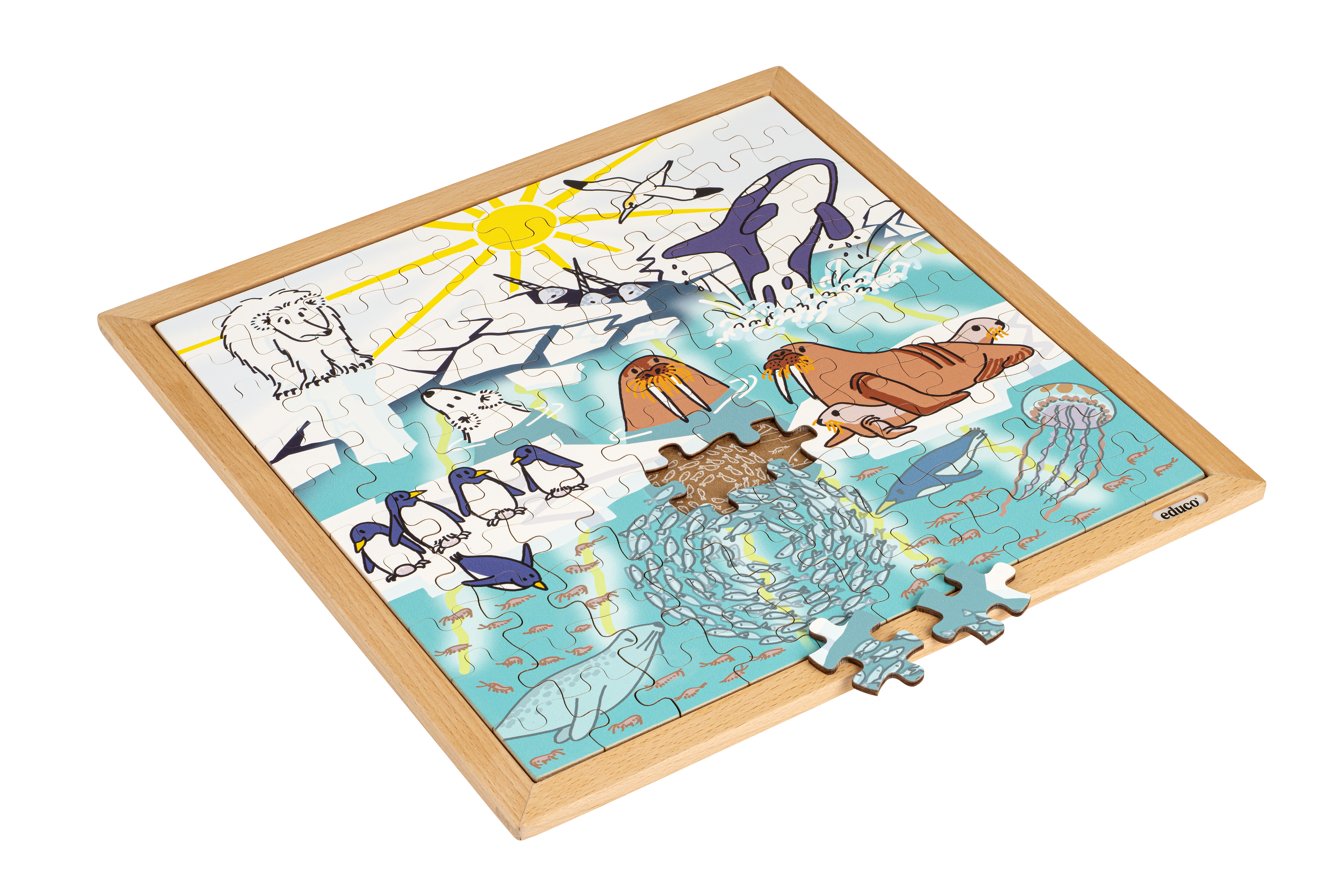 Nature & Climate Puzzle - Global Warming
