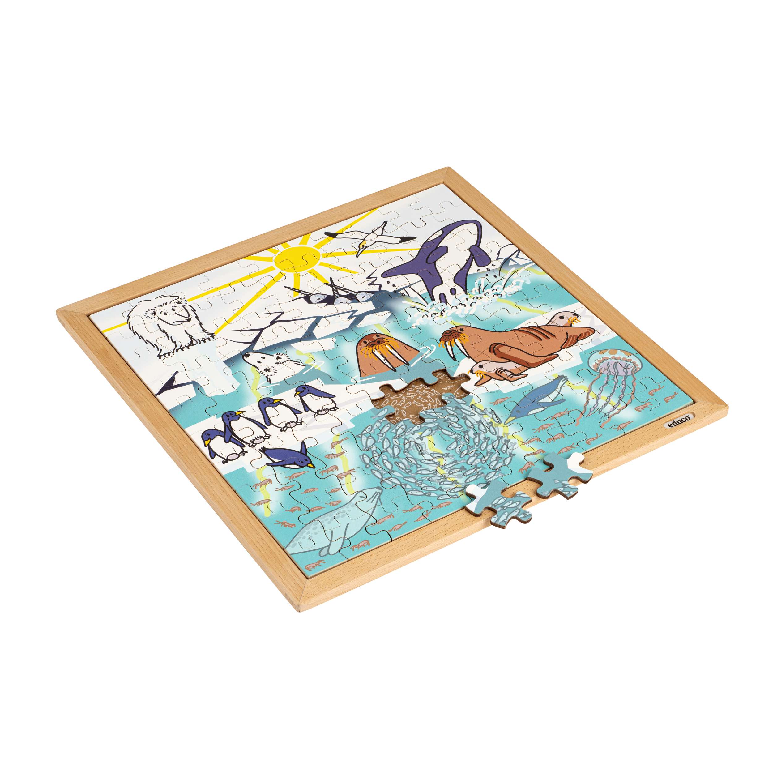Nature & Climate Puzzle - Global Warming