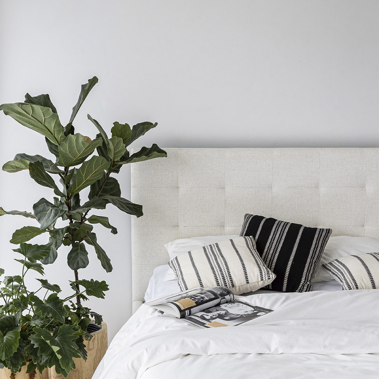 June King Bed - Cream