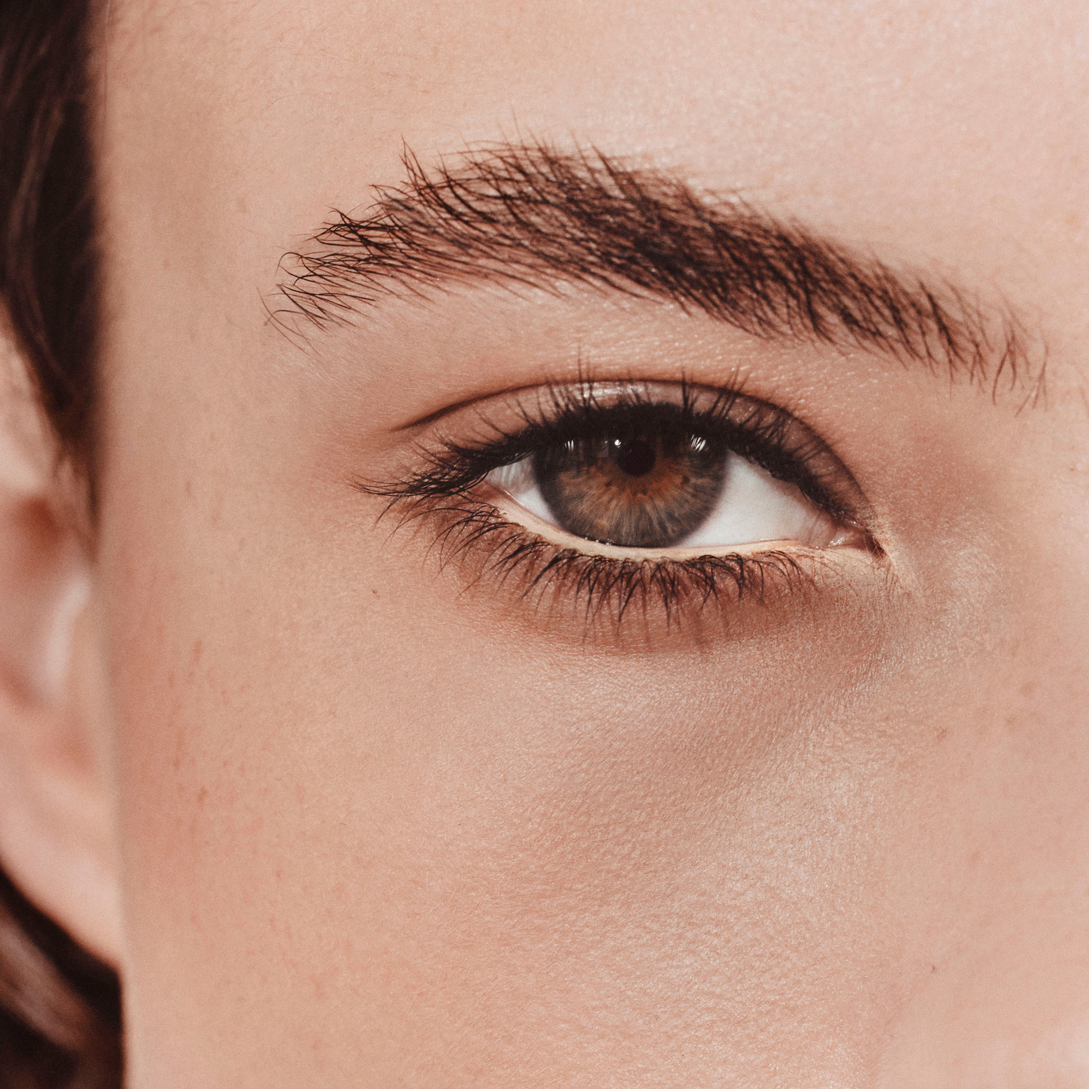 Trait d'Hermès, crayon de couleurs pour les yeux , Brun Bistre