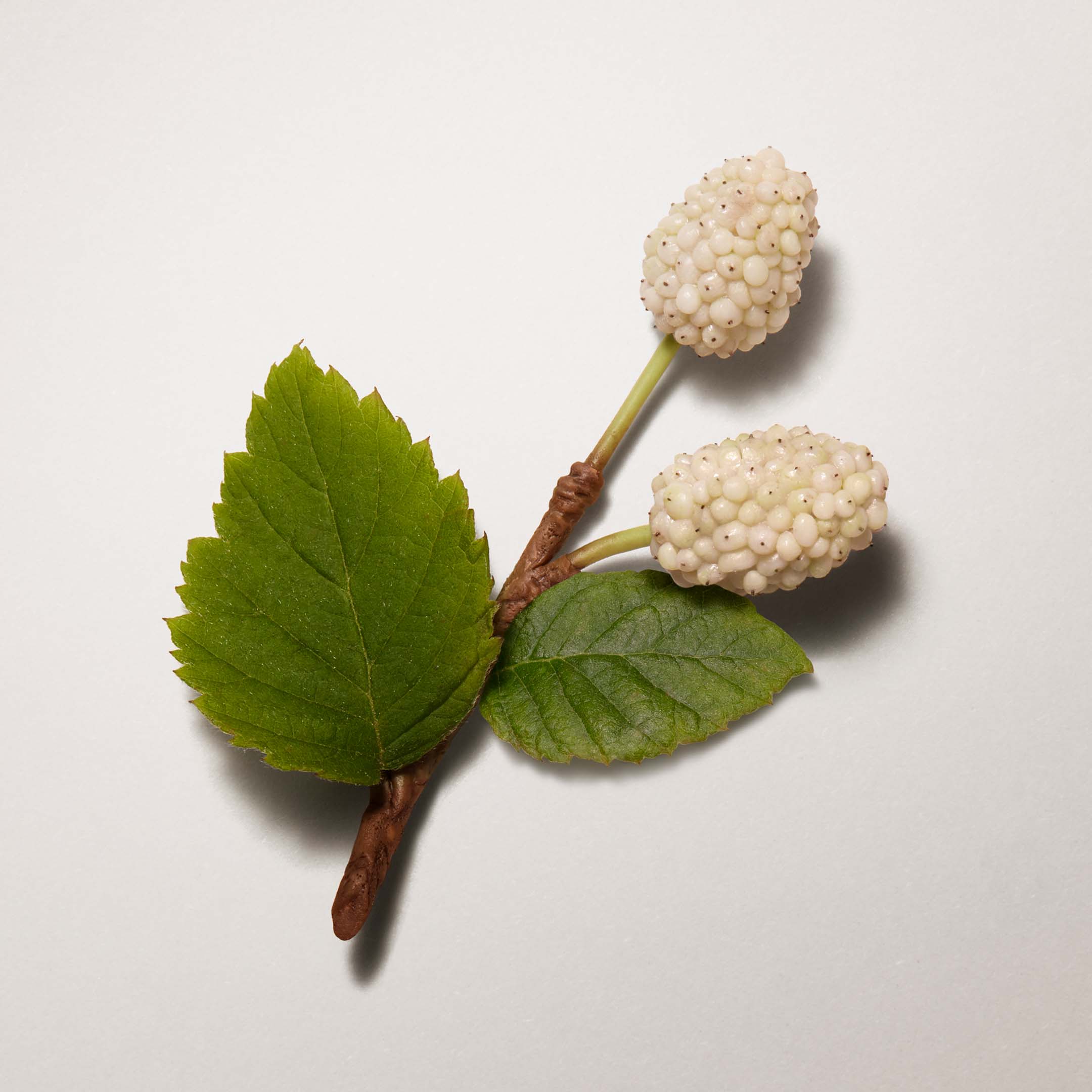 Les Mains Hermes Nourishing Oil Nails And Cuticles