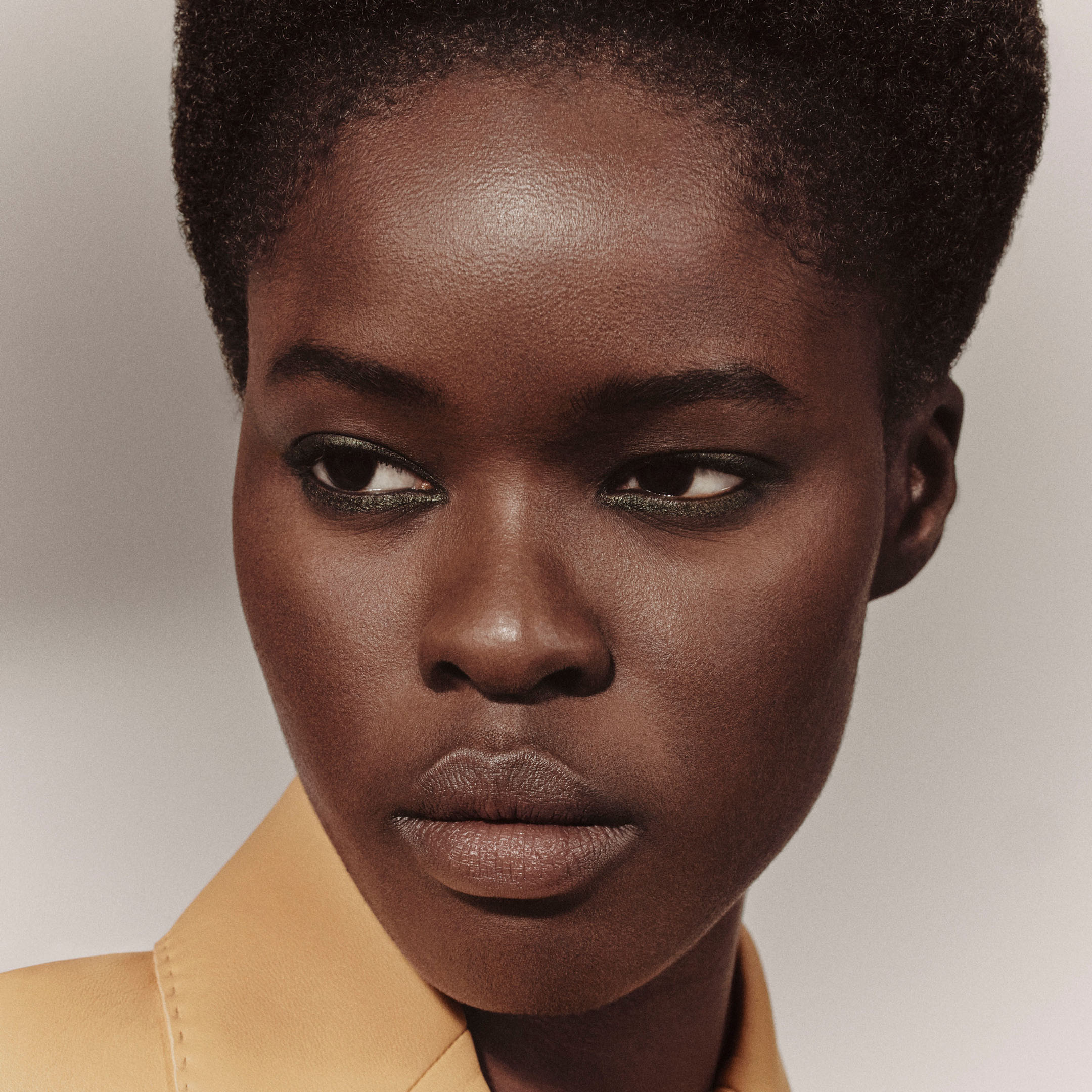 Trait d'Hermès, crayon de couleurs pour les yeux , Brun Bistre