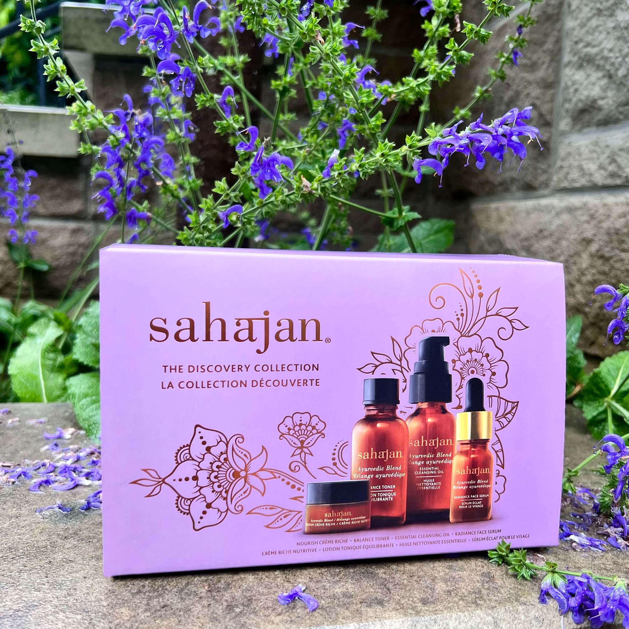 La Collection Découverte