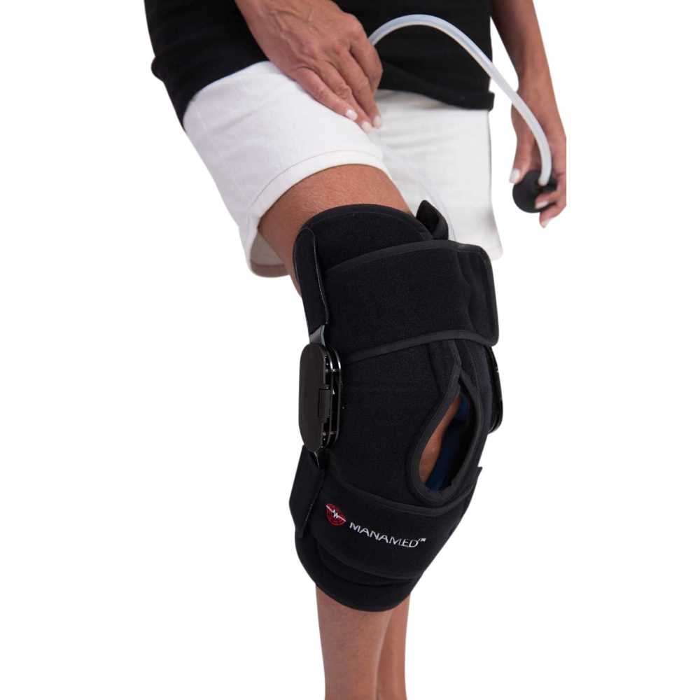 thumbnail of ManaEZ ROM Ice