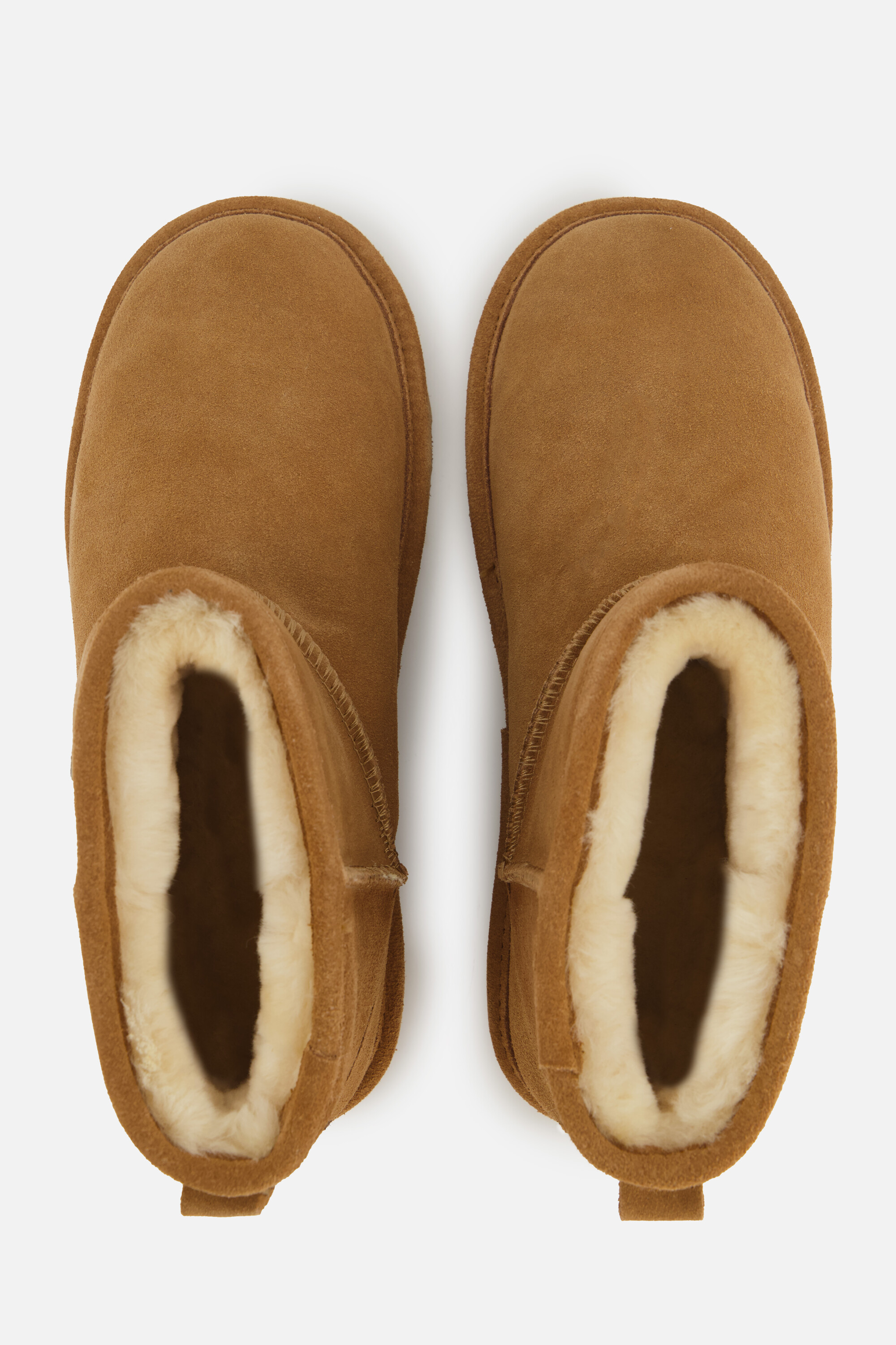 Warmbat Wallyby Men Boots Suede afbeelding 2