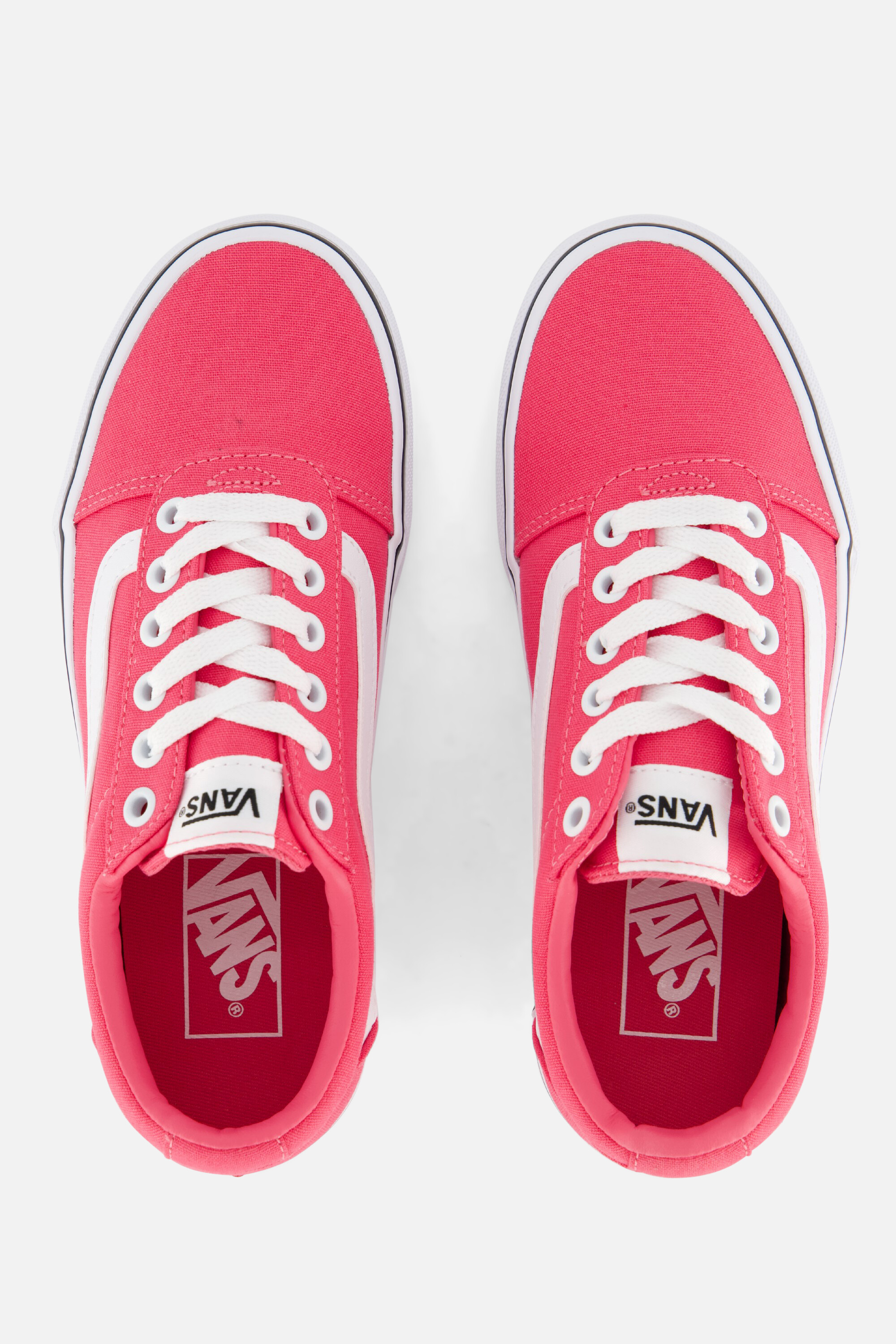 Vans Ward Honeysuckle Sneakers roze Canvas afbeelding 2