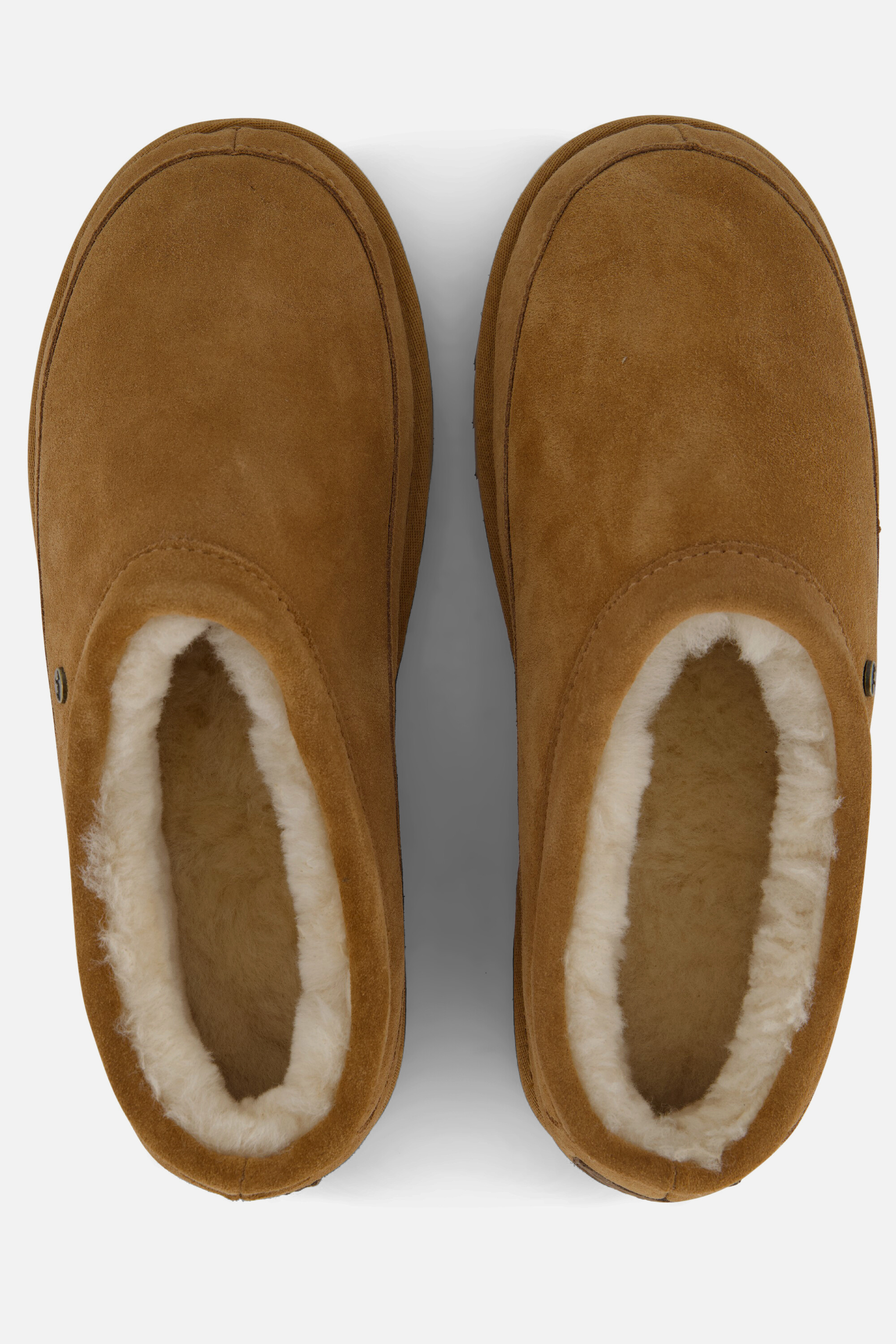 Warmbat Ebor Men Pantoffels cognac Suede afbeelding 3