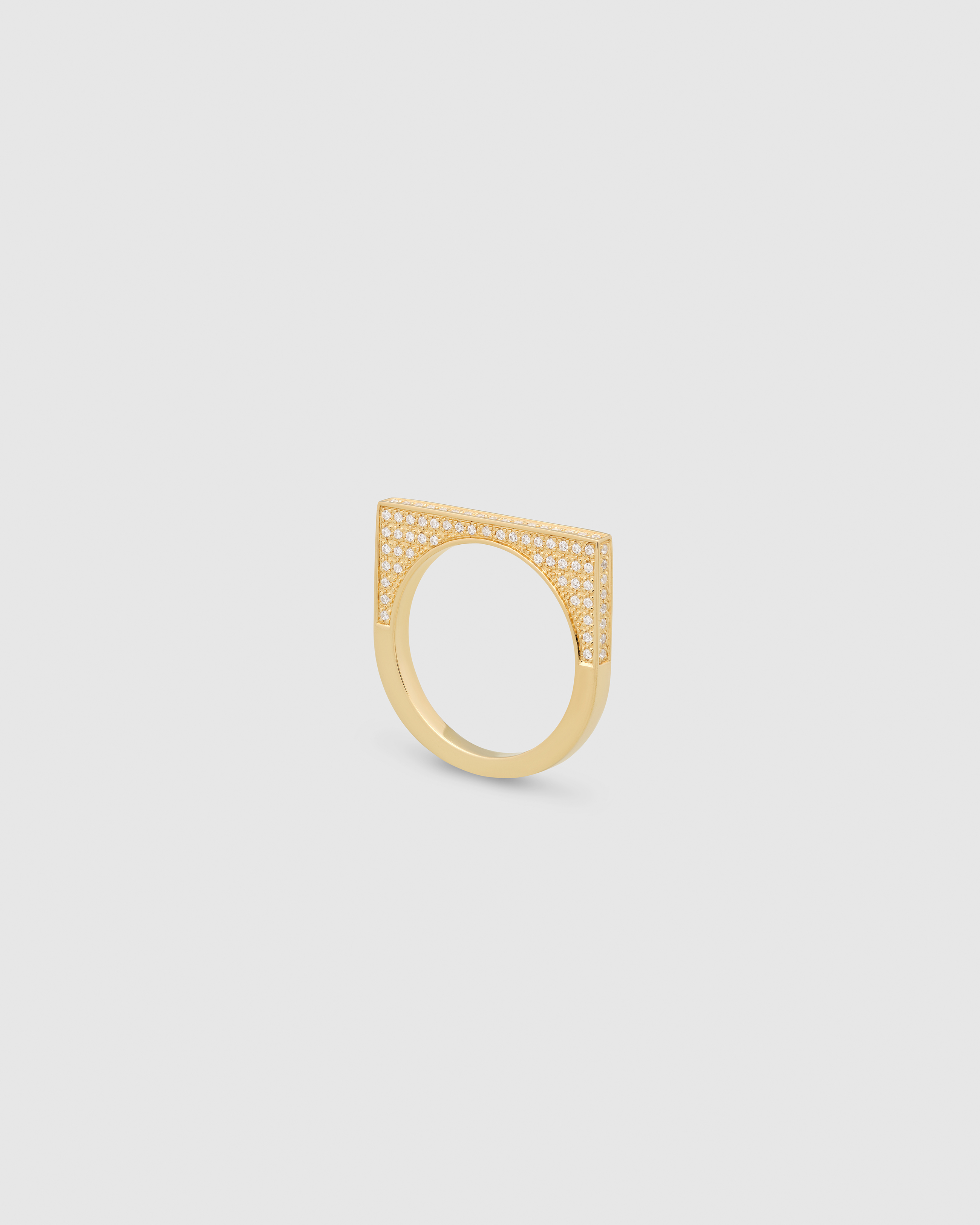 大勧め 100969-2.jpg アクセサリー