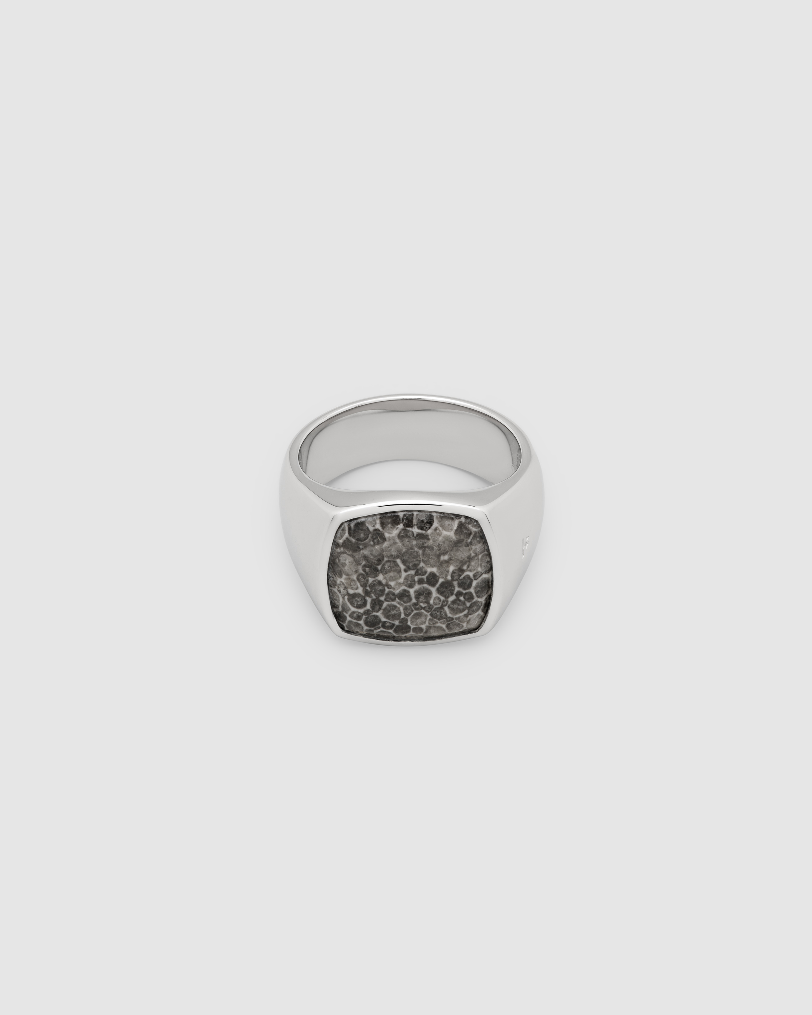 【新発売】 Cushion Store Online Official Project Wood Tom - Snakeskin アクセサリー