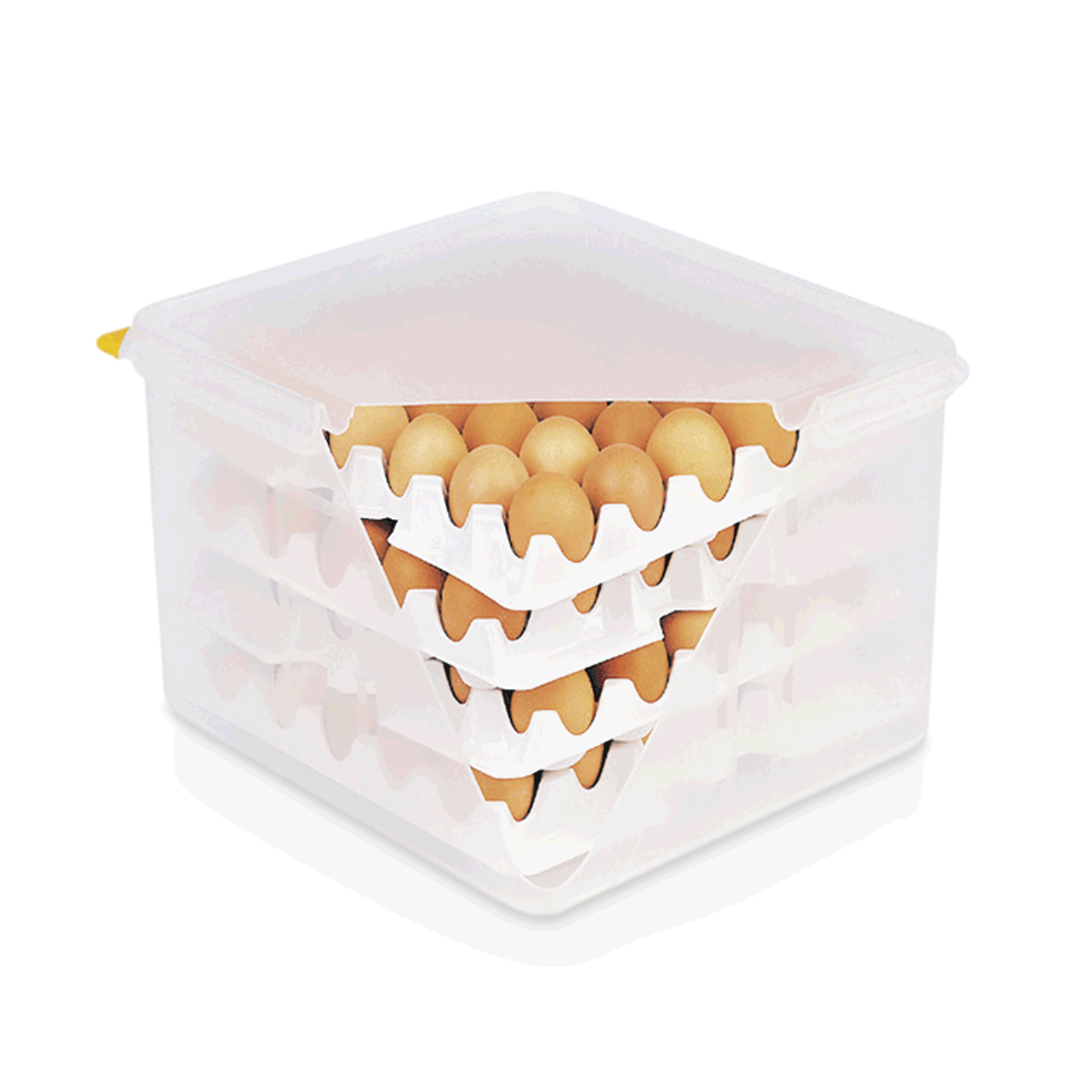 HACCP egg box