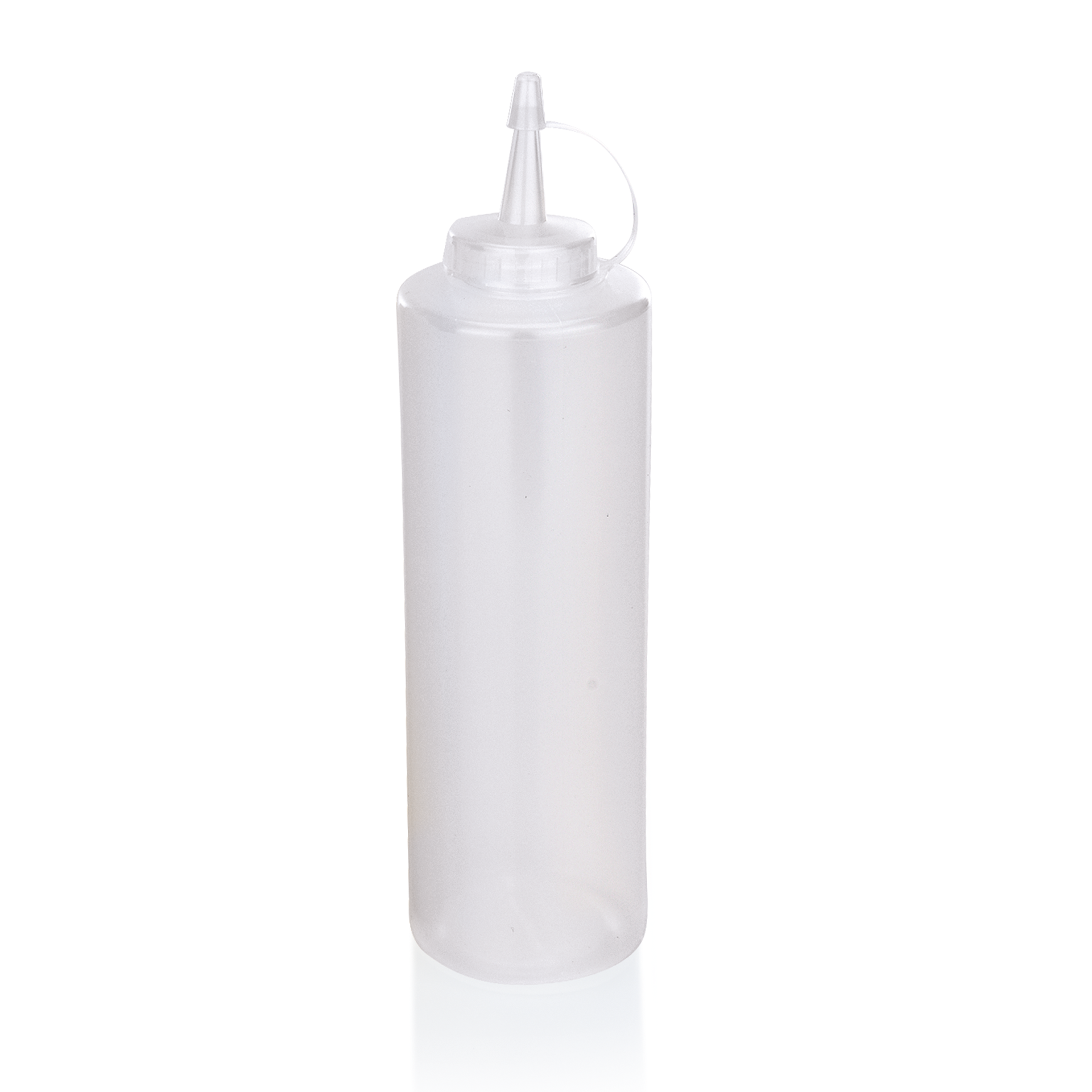 Squeeze bottle Transparent Pack Size 6