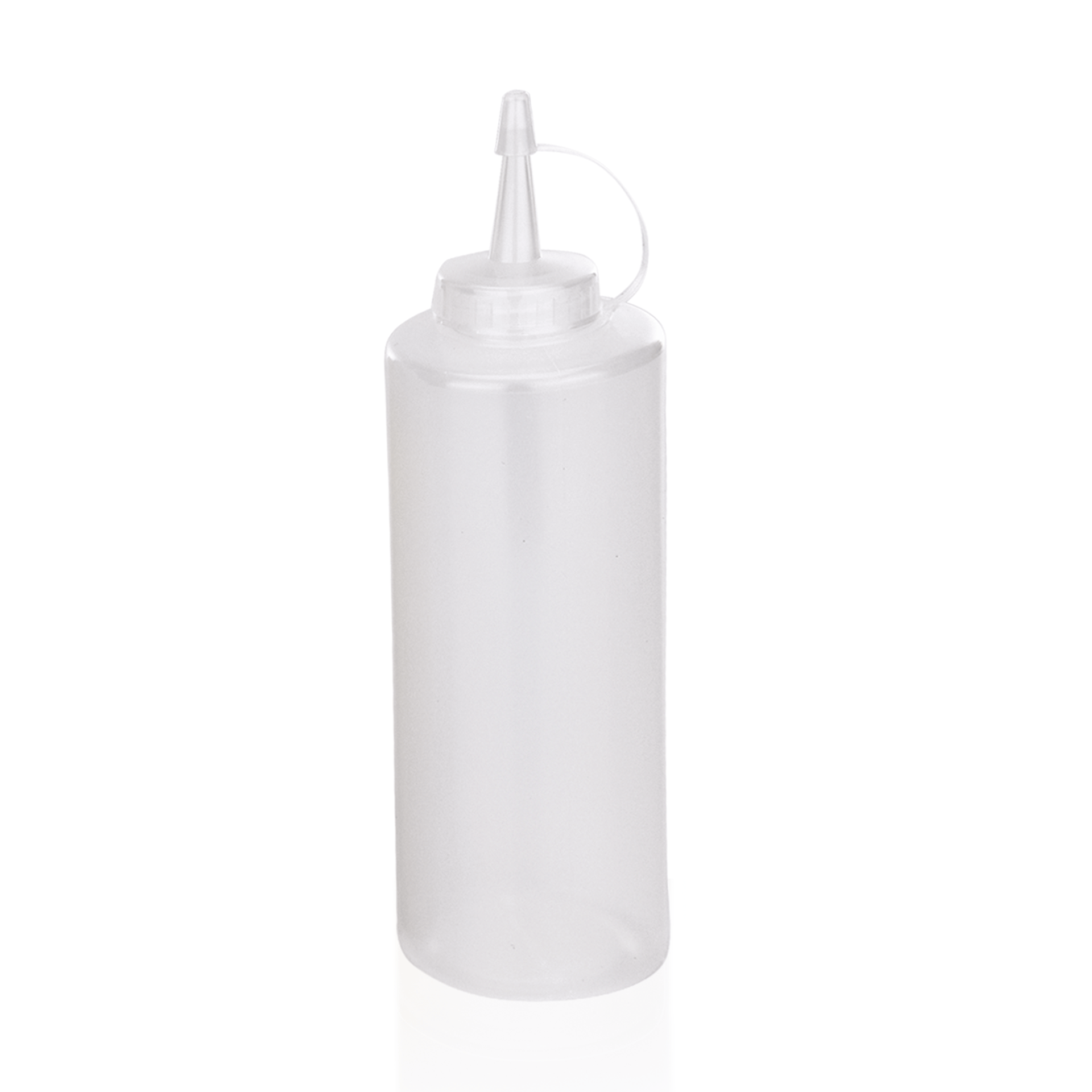 Squeeze bottle Transparent Pack Size 6