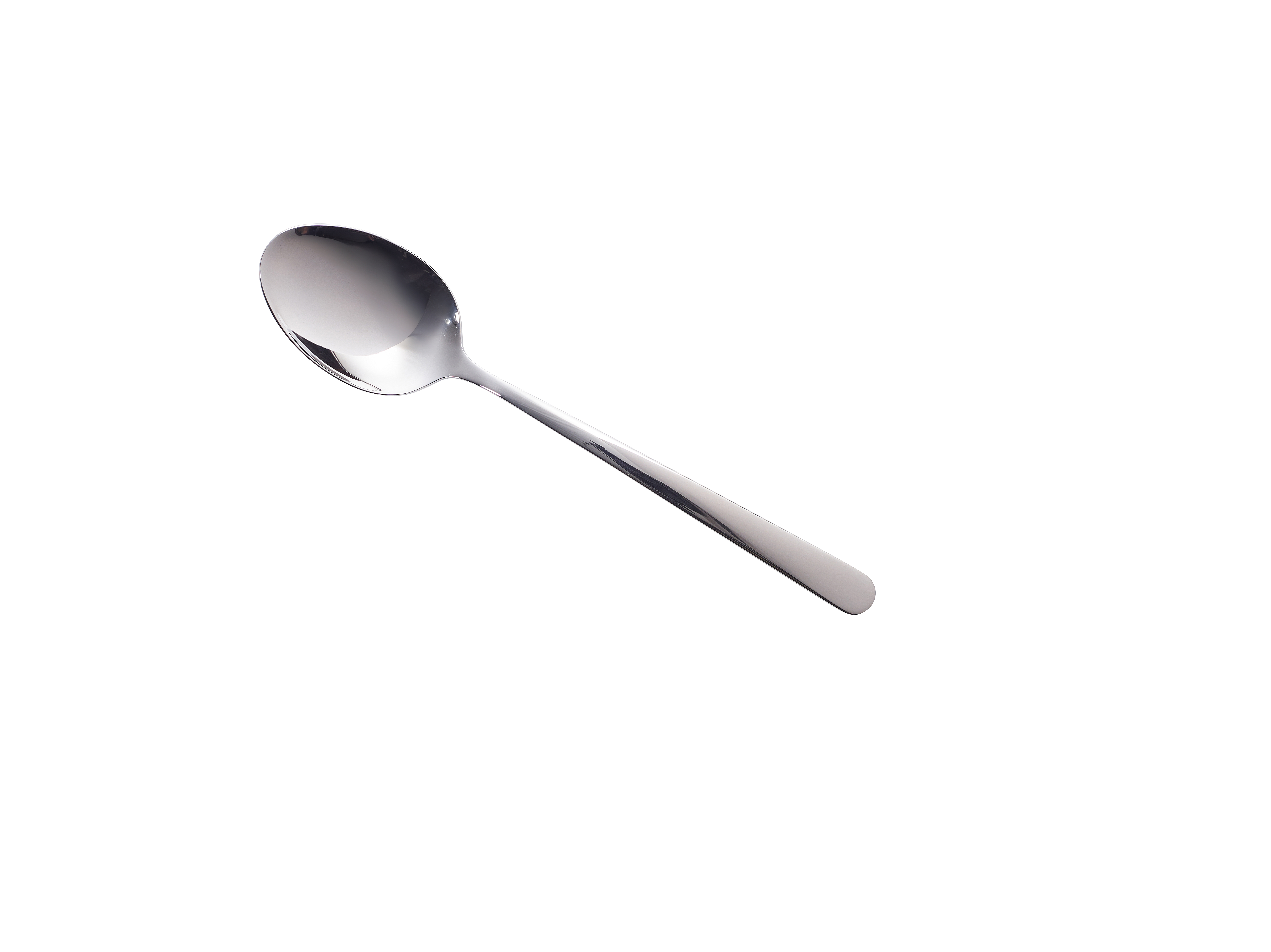 DS-MS
