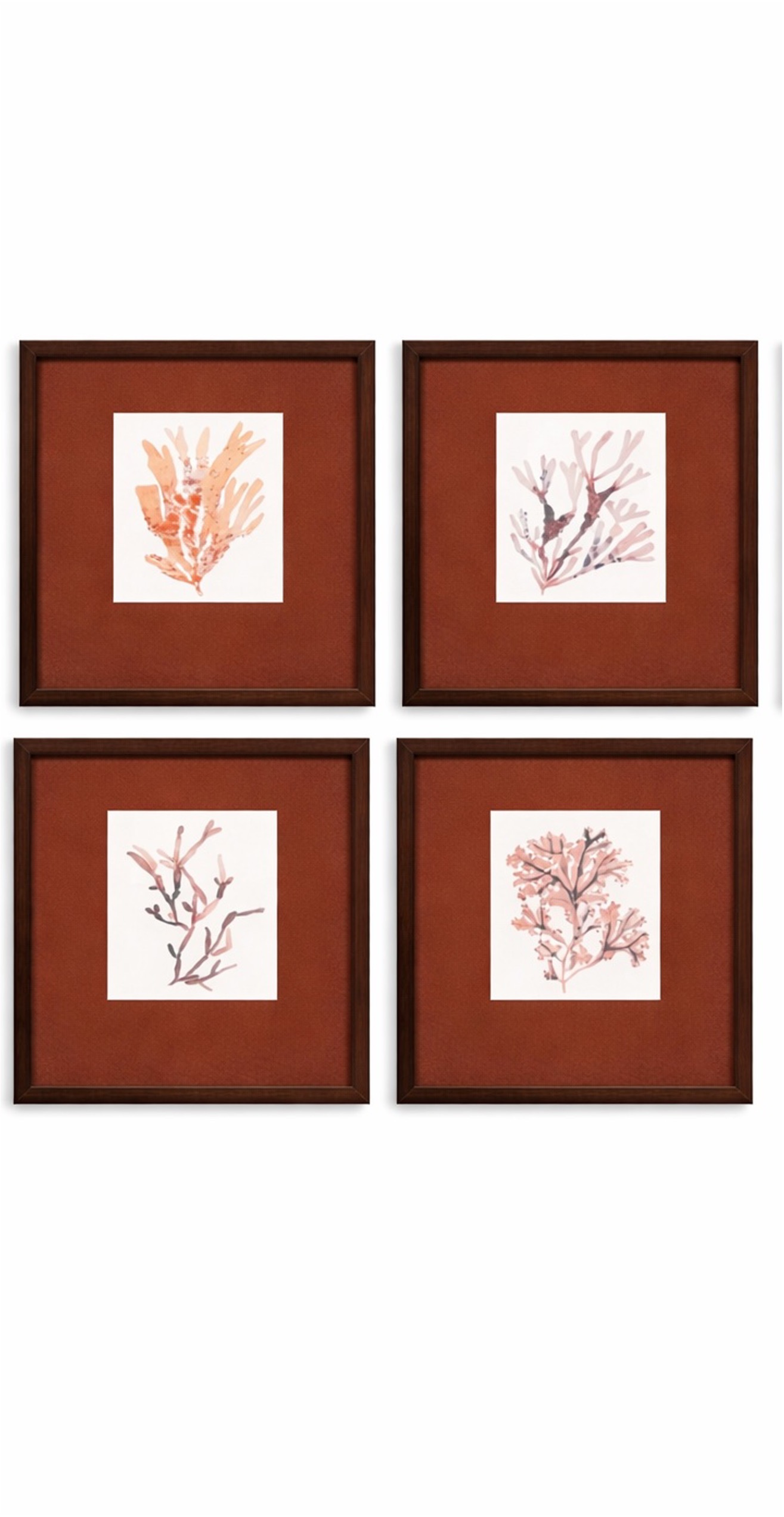 Coastal Collection Framed Print s/4, sold individually
