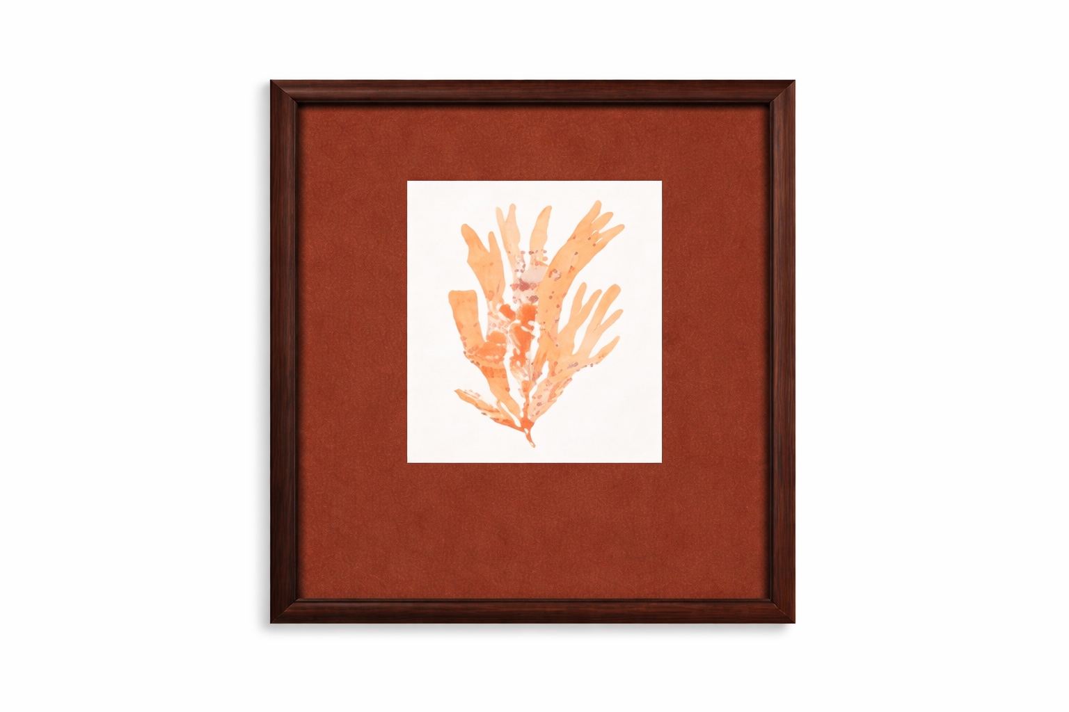 Ochre Coral Framed Print