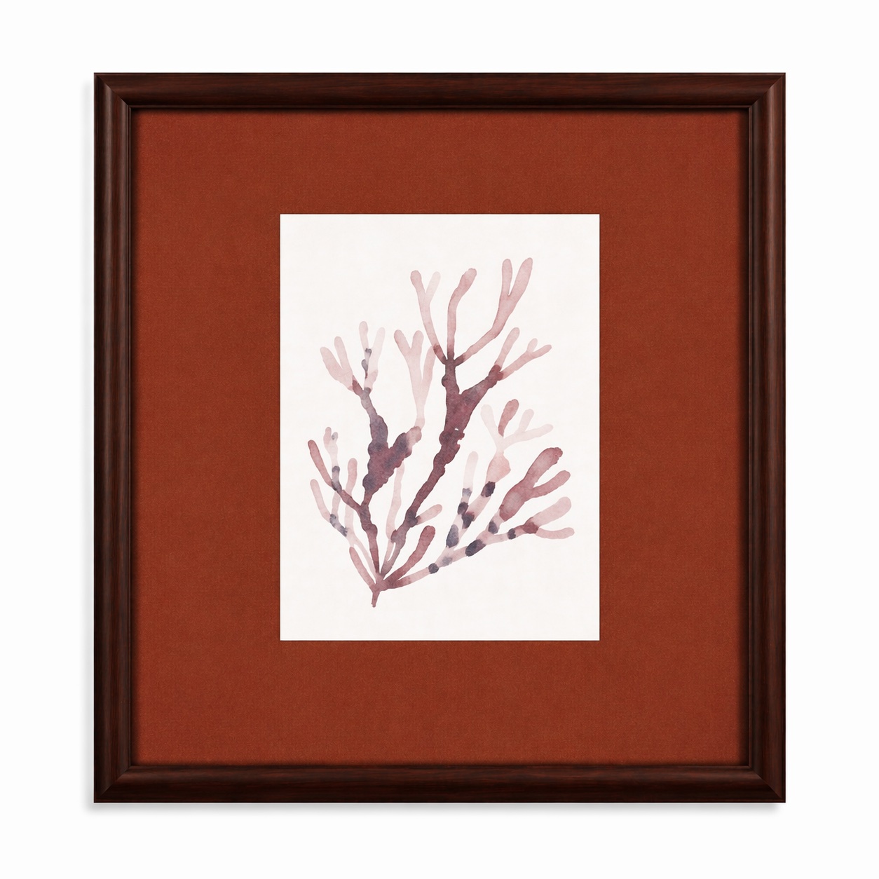 Spotted Coral Framed Print