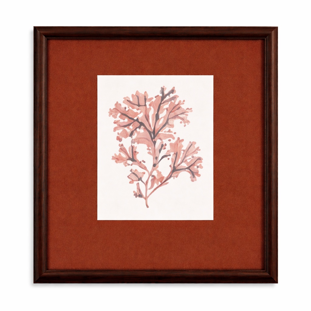 Marbled Seaweed Framed Print