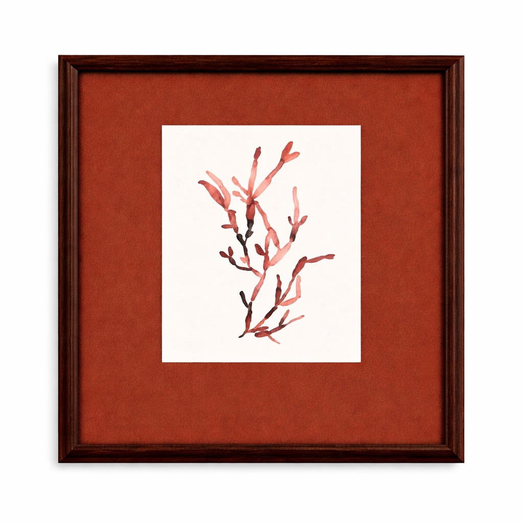 Bubble Seaweed Framed Print