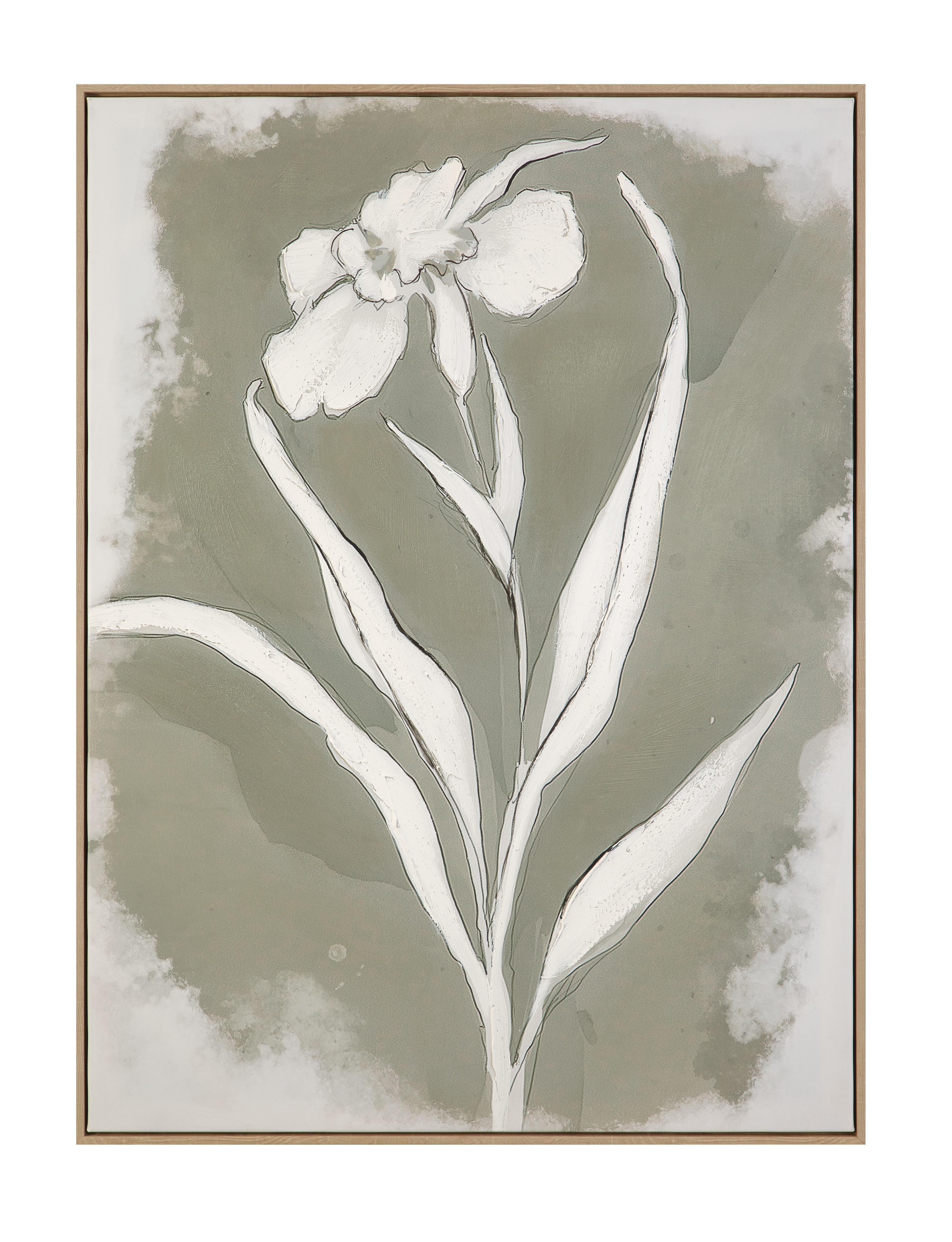 Serene Botanical I Framed Canvas
